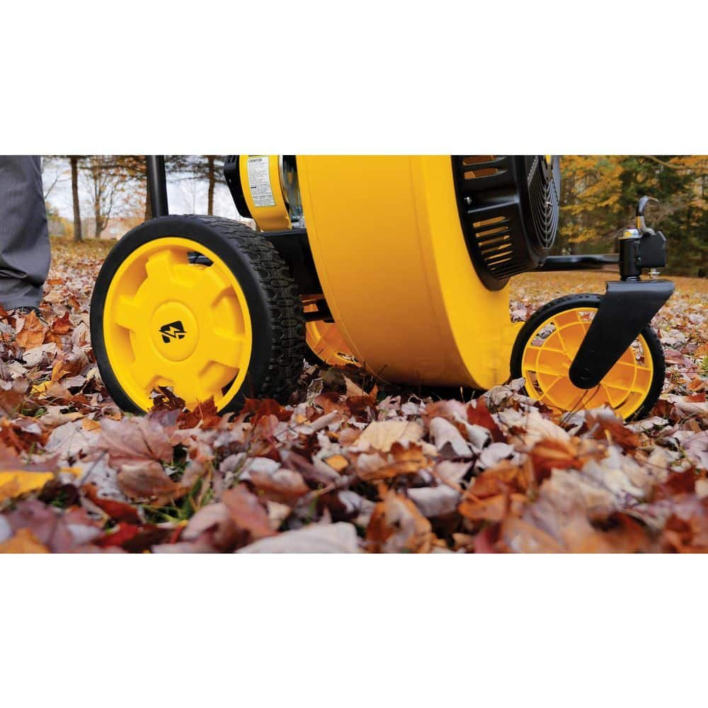 Champion Power Equipment 160 mph 224cc 1300 CFM Walk-Behind Gas Leaf Blower 201529