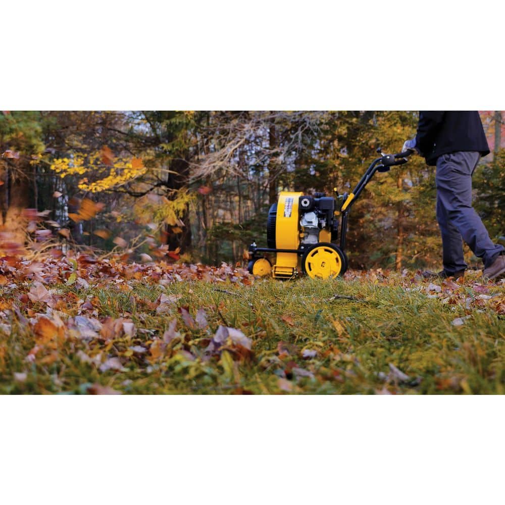 Champion Power Equipment 160 mph 224cc 1300 CFM Walk-Behind Gas Leaf Blower 201529