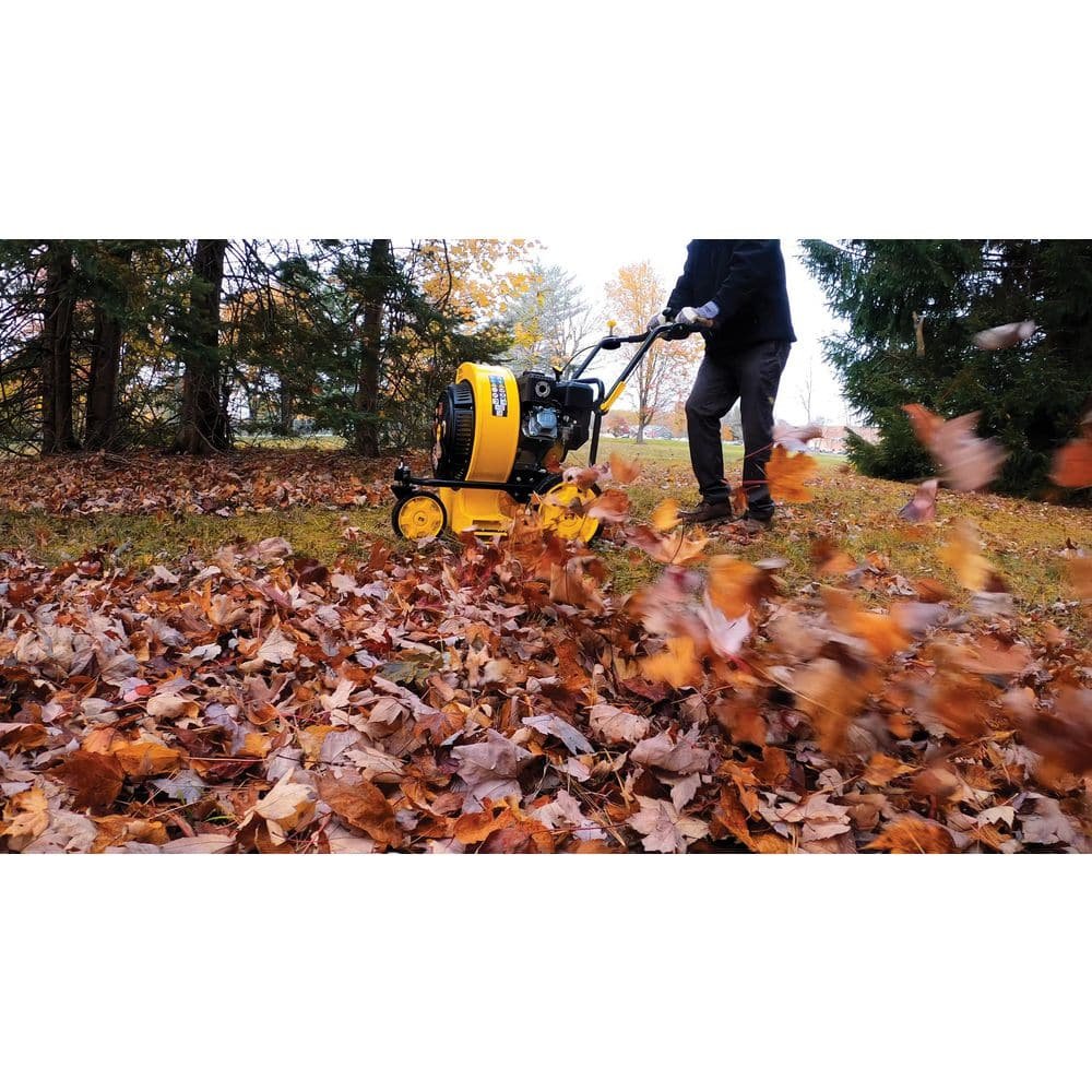 Champion Power Equipment 160 mph 224cc 1300 CFM Walk-Behind Gas Leaf Blower 201529